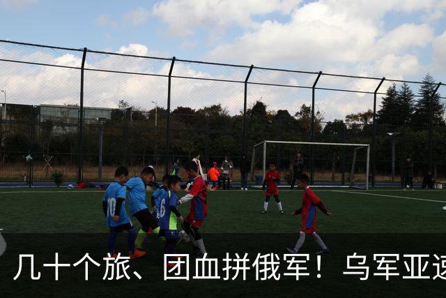 几十个旅、团血拼俄军！乌军亚速集群，指挥多少战斗部队？