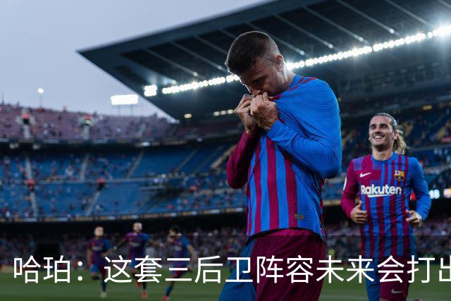 哈珀：这套三后卫阵容未来会打出更好表现