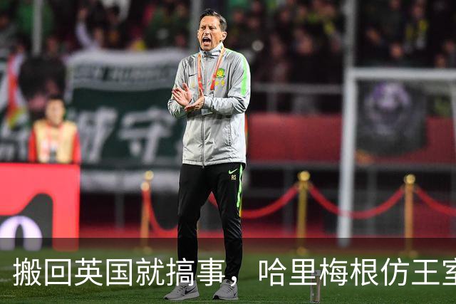 搬回英国就搞事，哈里梅根仿王室巡访，超5000人投票反对！