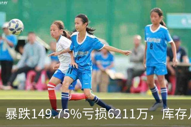 暴跌149.75%亏损6211万，库存几乎翻番！电驴界爱马仕卖不动了？