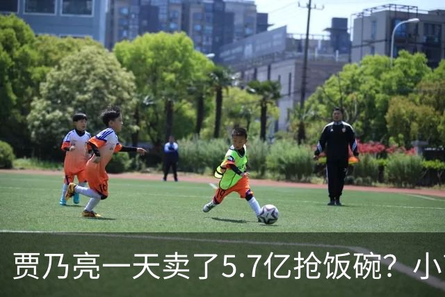 贾乃亮一天卖了5.7亿抢饭碗？小商家控诉：投流都投不出去