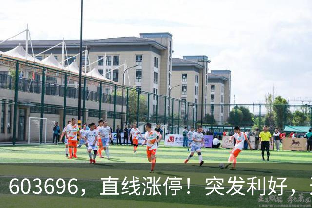 603696，直线涨停！突发利好，这一板块异动拉升